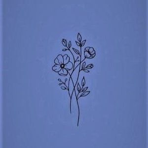 Meet your Posher, Alexiz